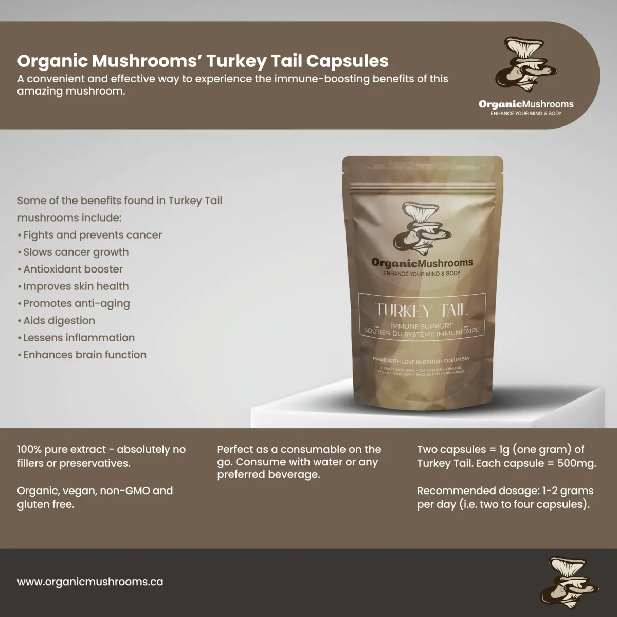 Turkey Tail Mushroom Capsules