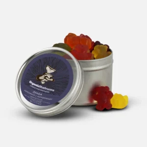 Chaga Mushroom Supplement Gummies