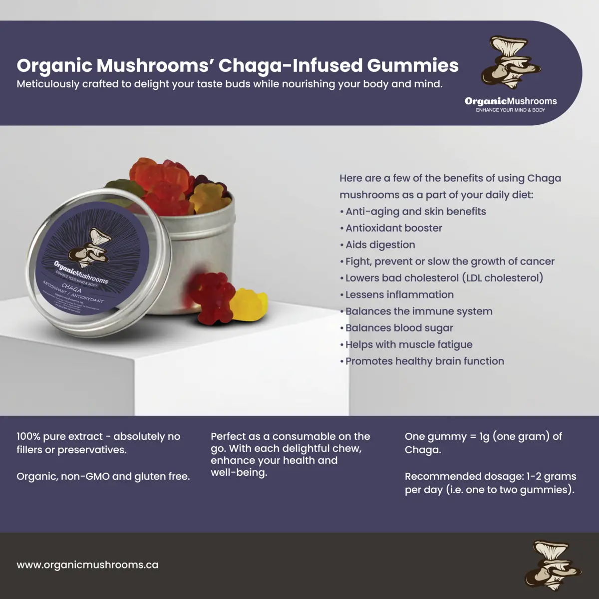 Chaga Mushroom Supplement Gummies