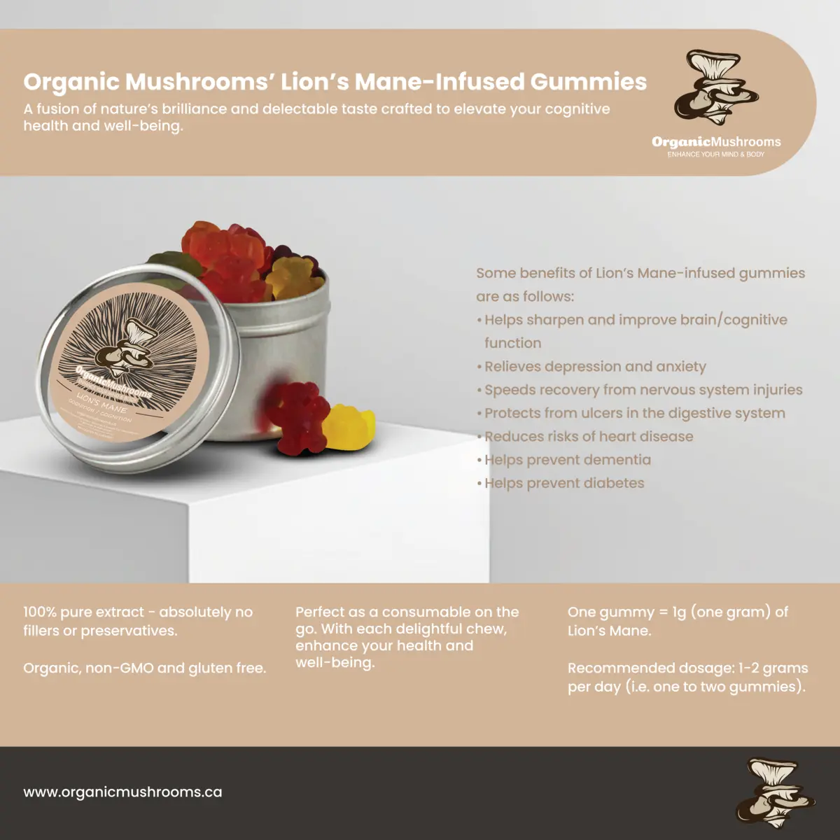 Lion's Mane Mushroom Supplement Gummies