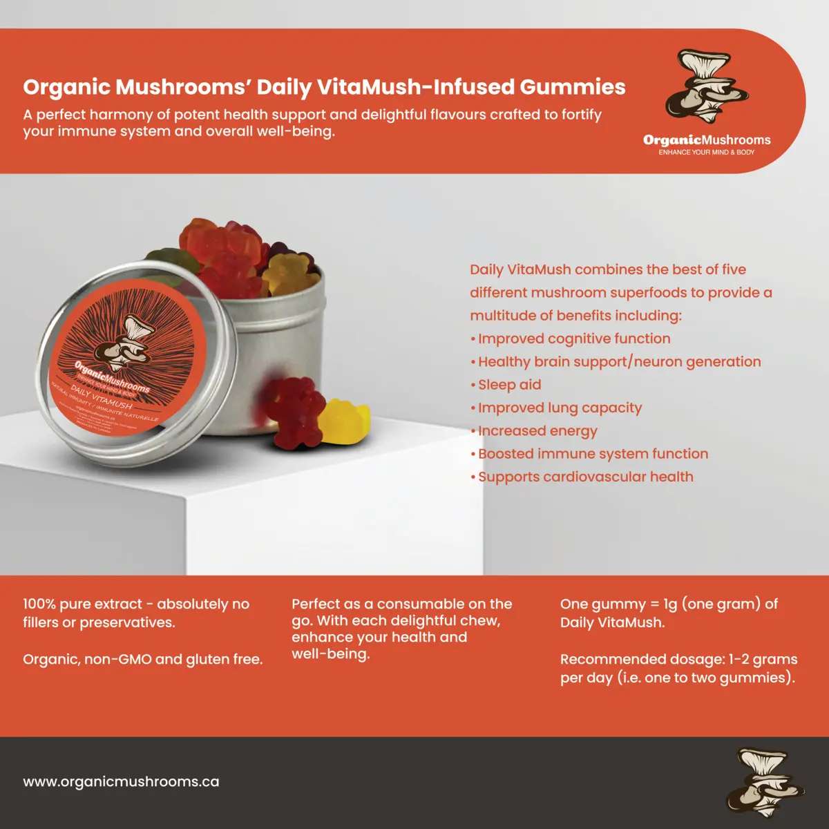 Daily Mushroom Supplement Gummies