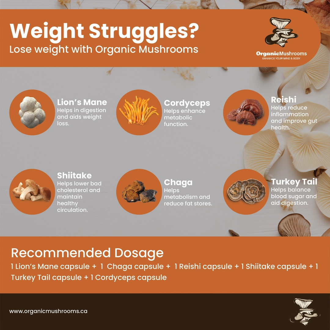 Weight Loss Wellness Bundle