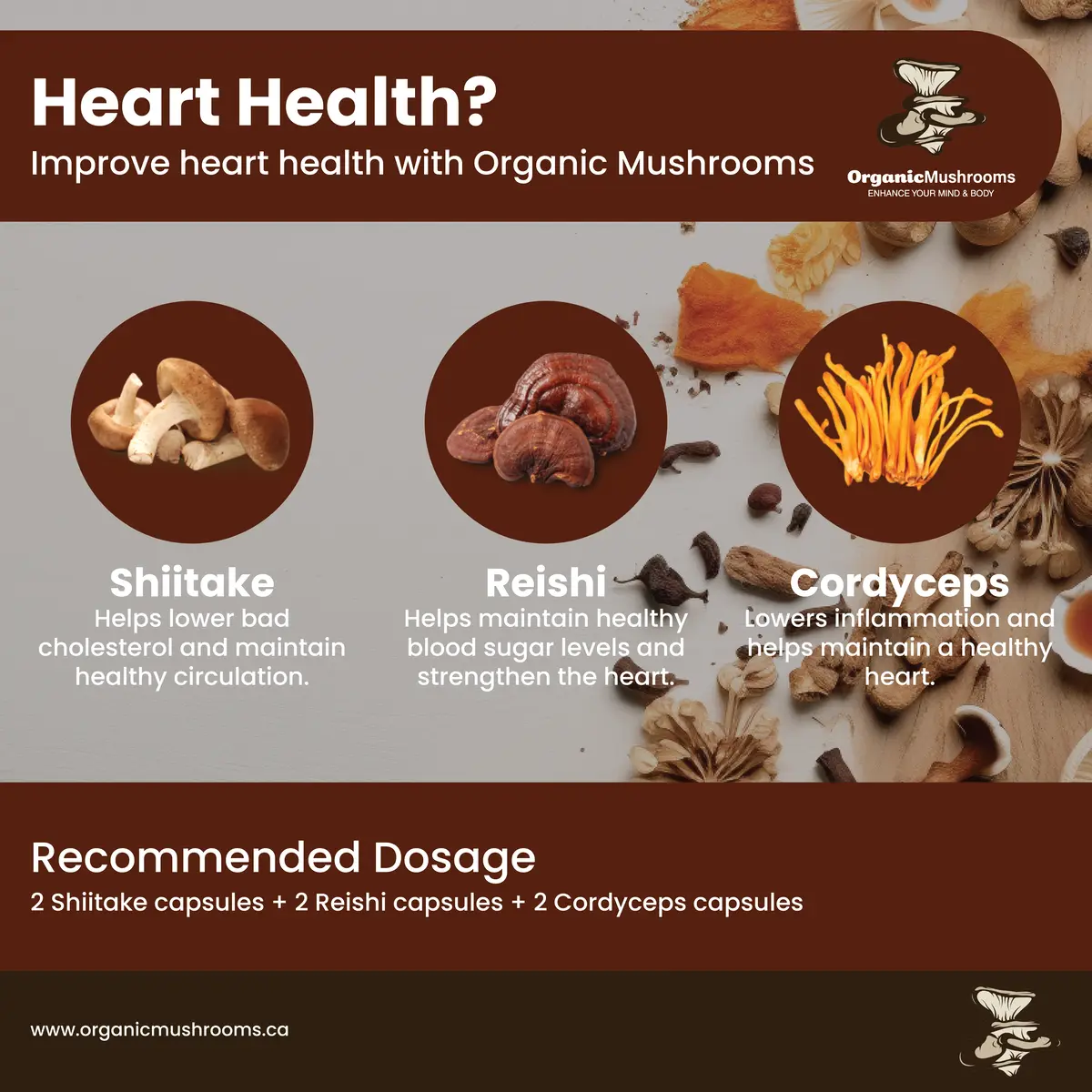 Heart Health Wellness Bundle