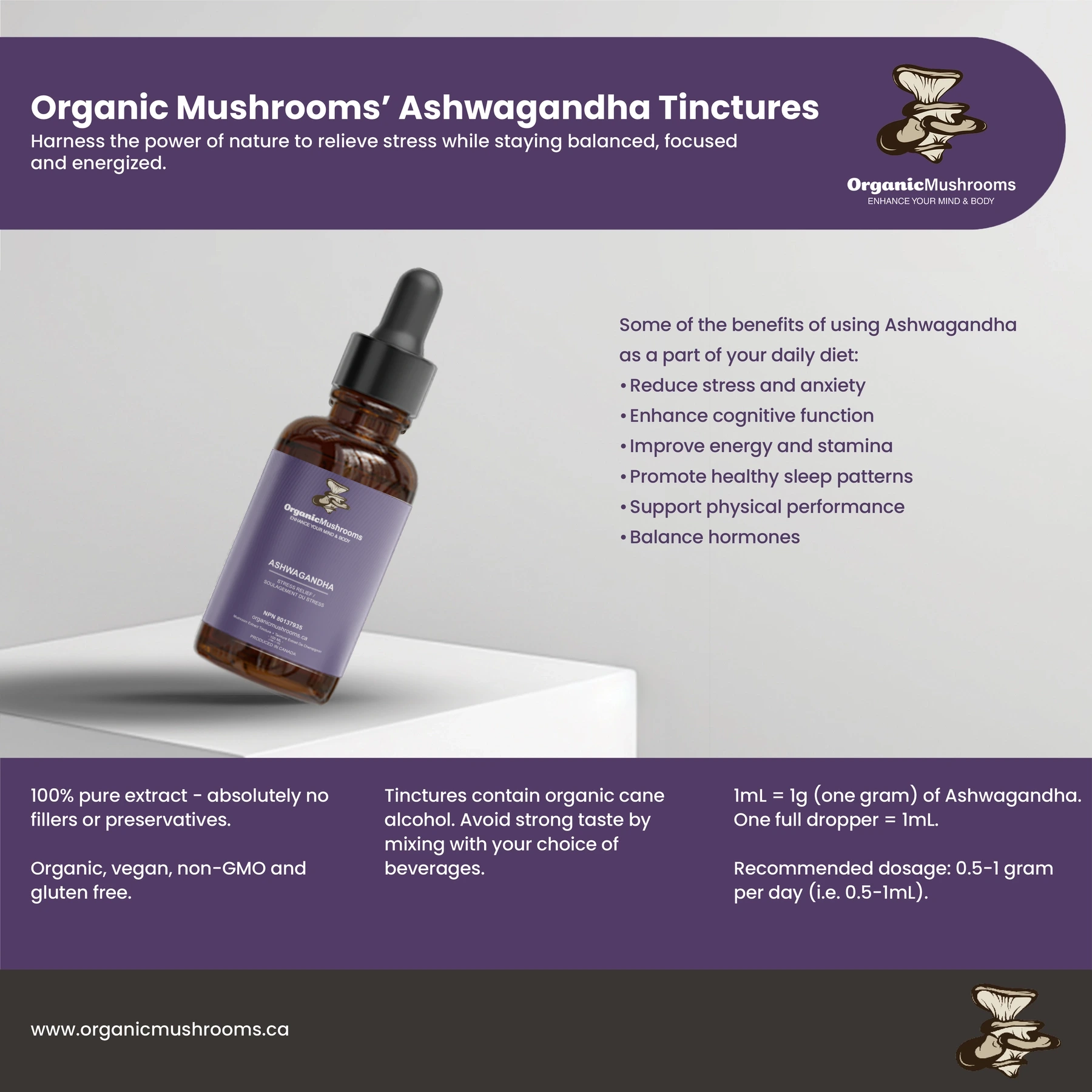 Ashwagandha Tincture - Image 3