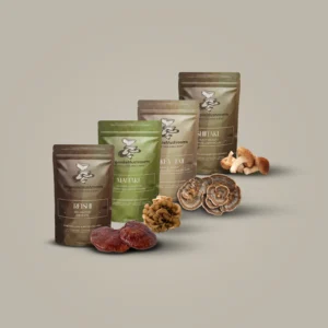 Immune Shield Wellness Bundle