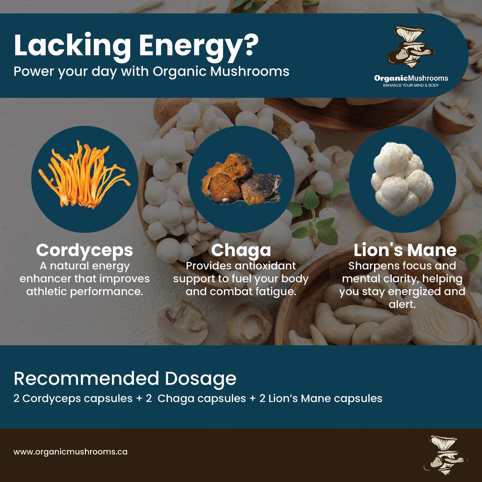 Energy Boost Wellness Bundle