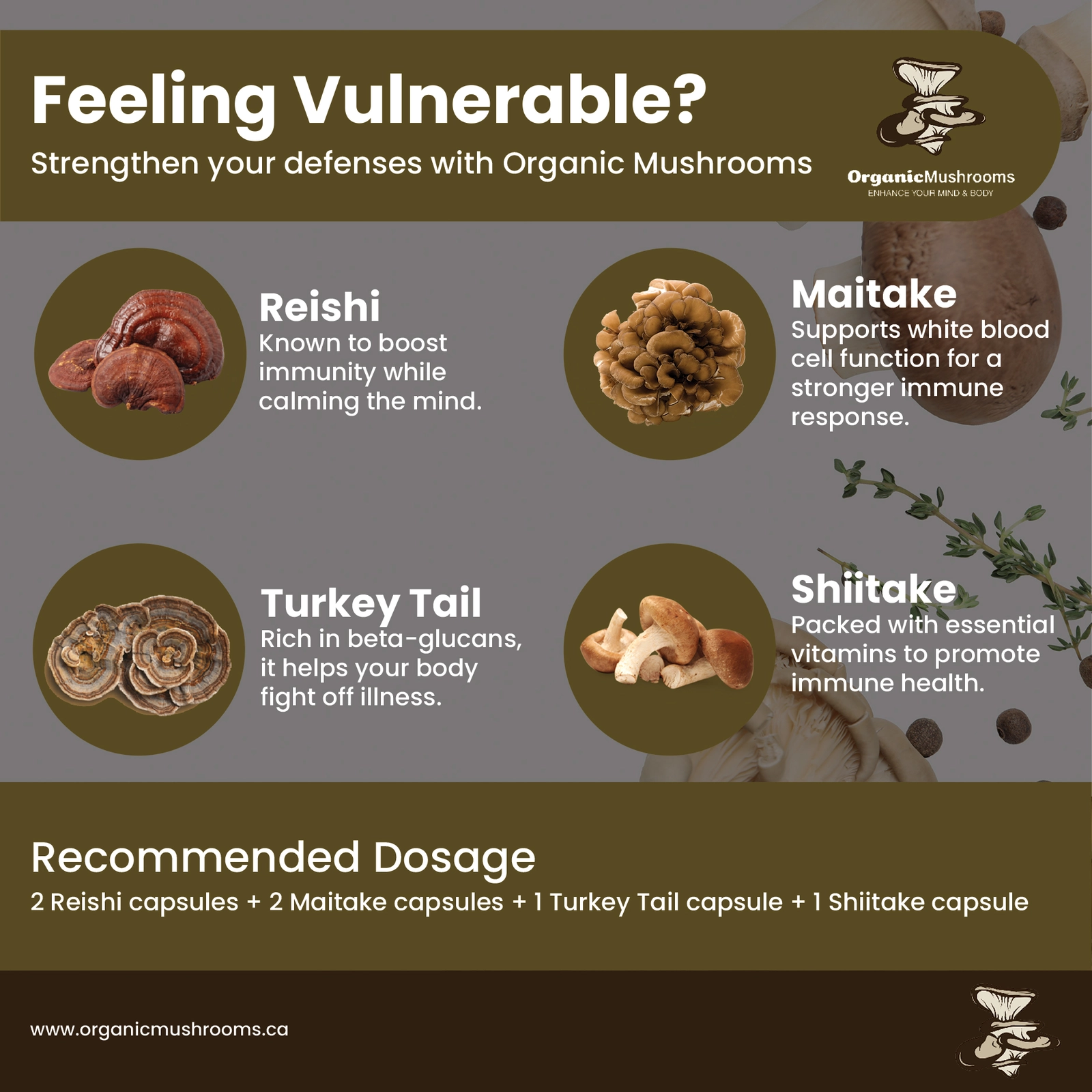 Immune Shield Wellness Bundle