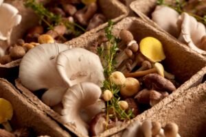 Functional Mushroom Trends Emerging in Europe and Asia